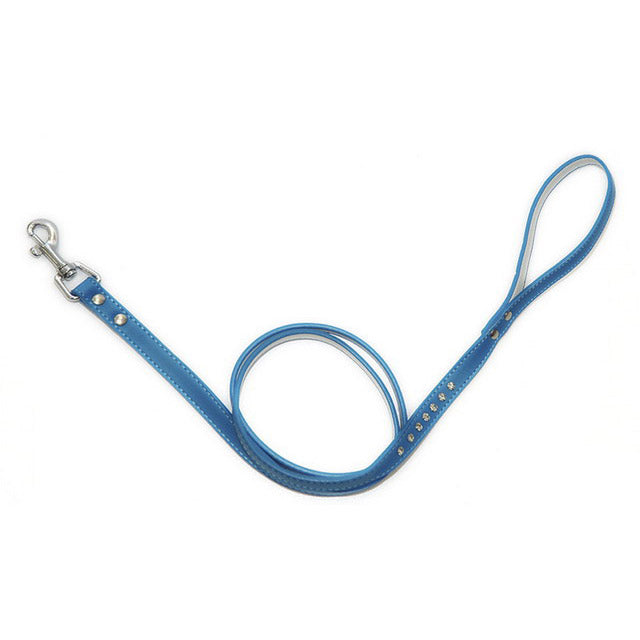 Guinzaglio per cani con fila strass turchese, 1,0 cm × 120 cm