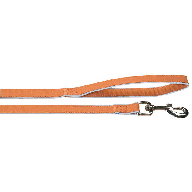 Guinzaglio para arancione per cani in nylon con inserti riflettenti, 100 cm x 12 mm, moschettone metallo