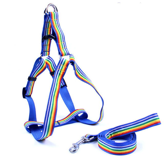 Pettorina e guinzaglio in nylon a righe 2,5 cm x 120 cm per cani piccoli e medi