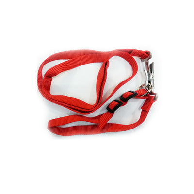 Parure in nylon per cane con collare e guinzaglio a sgancio veloce