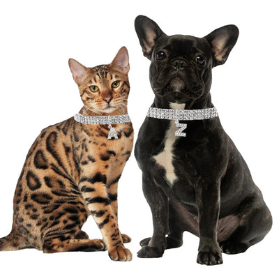 Pendente gioiello lettera strass per collare cani e gatti con cristalli luminosi