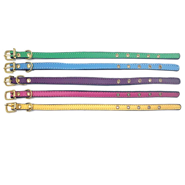 Collare regolabile per cuccioli con design colorato, morbido e resistente, ideale per le prime passeggiate