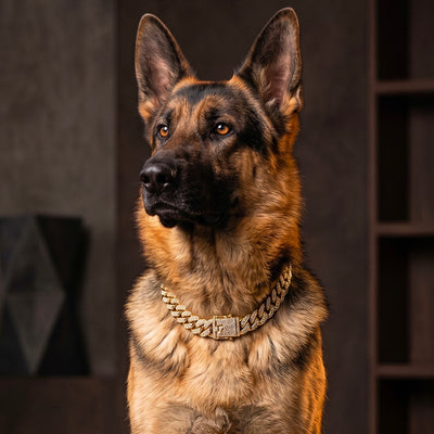 COLLARE GIOIELLO CATENA DIAMANTE ORO