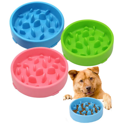 Ciotola mangia adagio per cani colori assortiti, 20 x 5 cm, con rialzamenti interni
