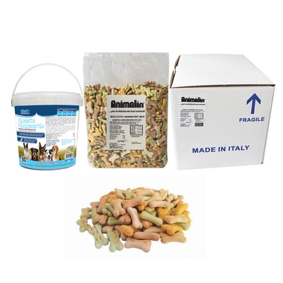 Biscotto per cani mix pomodoro spinaci carruba a forma di osso piccolo, snack italiano naturale