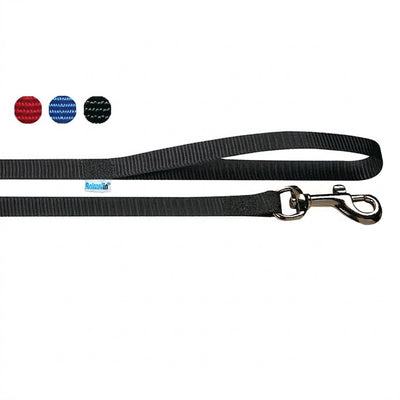 Guinzaglio in nylon resistente per cani, disponibile in sei colori vivaci, ideale per passeggiate quotidiane