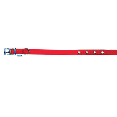 Collare nylon rosso per cani Animalin con fibbiette regolabili