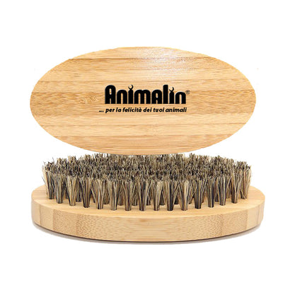 Spazzola con setole in ottone per cani e gatti, impugnatura ergonomica per toelettatura professionale