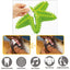 GIOCO TPR IGIENE DENTALE STELLA C/SUONO COLOR MIX