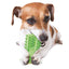 Gioco cactus in TPR per cani igiene dentale color mix 13x9 cm 160 g