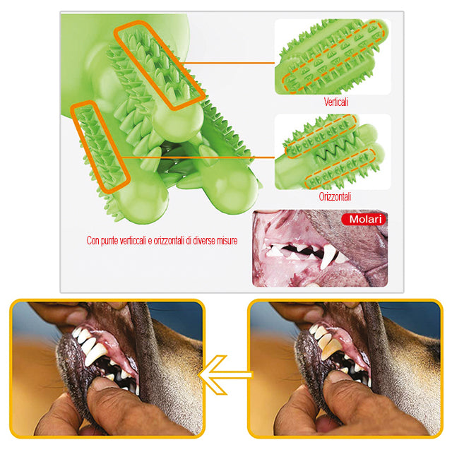 Gioco cactus in TPR per cani igiene dentale color mix 13x9 cm 160 g
