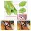 GIOCO TPR IGIENE DENTALE CACTUS + VENTOSA COL. MIX