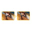 GIOCO TPR IGIENE DENTALE PANNOCCHIA CON CORDA