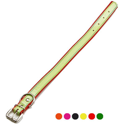 Collare in cuoio imbottito Fantasy Elegance per cani, 25 mm × 510 mm, con fibbia metallica