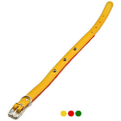 Collare in cuoio felpato per cani con borchie, disponibile in colori assortiti, Made in Italy