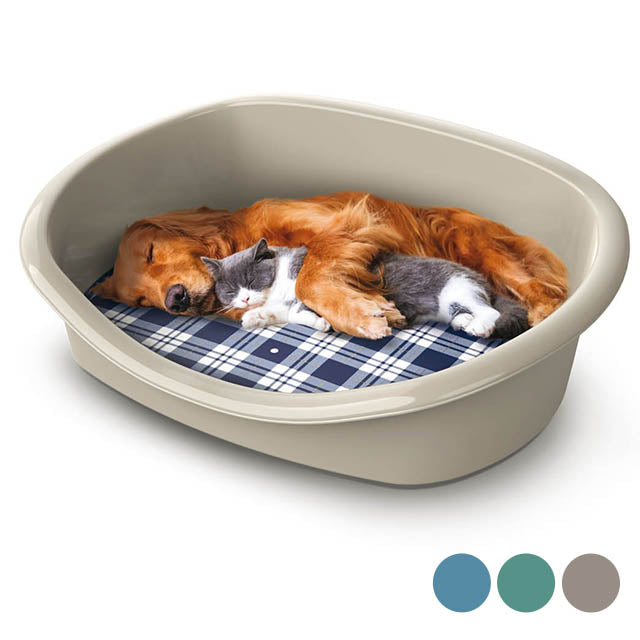 Cuccia con cuscino in plastica resistente per cani e gatti, dimensioni 46 x 35 x 18 cm