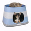 CUCCIA RING SMONTABILE AZZURRA CON CUSCINO CM 58X38X35