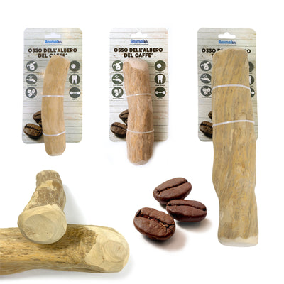 Osso masticabile naturale dell'albero del caffè per cani, legno duro e durevole