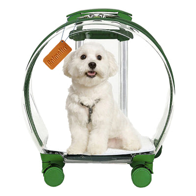 Borsa trasportino trolley in acrilico trasparente per cani e gatti, 42 x 25 x 50 cm, con ruote e maniglia retrattile