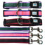 Parure collare e guinzaglio in neoprene morbido e nylon mix color per cani, set abbinato impermeabile