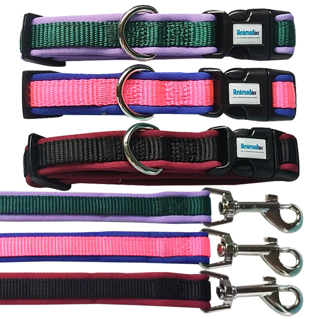 Parure collare e guinzaglio in neoprene morbido e nylon mix color per cani, set abbinato impermeabile
