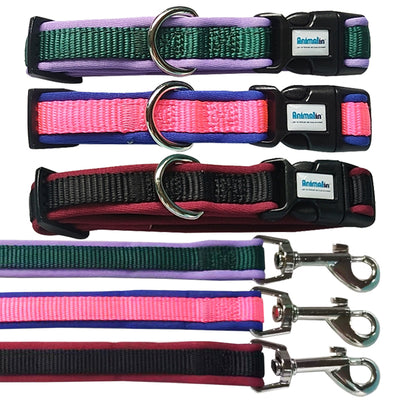 Parure collare e guinzaglio in neoprene morbido e nylon mix color per cani, set abbinato impermeabile