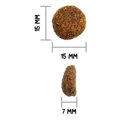 OWNAT CLASSIC MONOPROTEICO SALMON (CANE)
