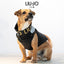Liu Jo piumino con pettorina nero per cane
