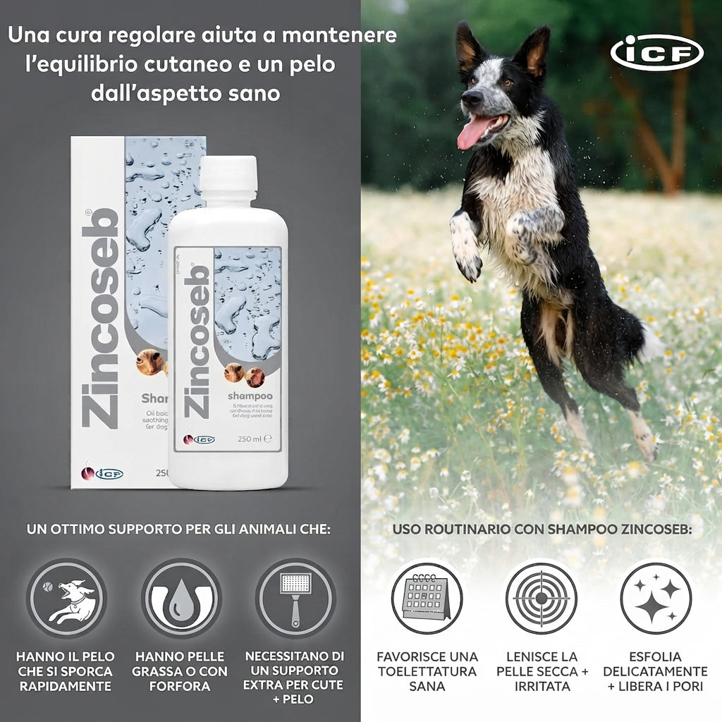 Icf Zincoseb Shampoo 250 ml per Cani e Gatti Lenitivo e Sebo-Riequilibrante