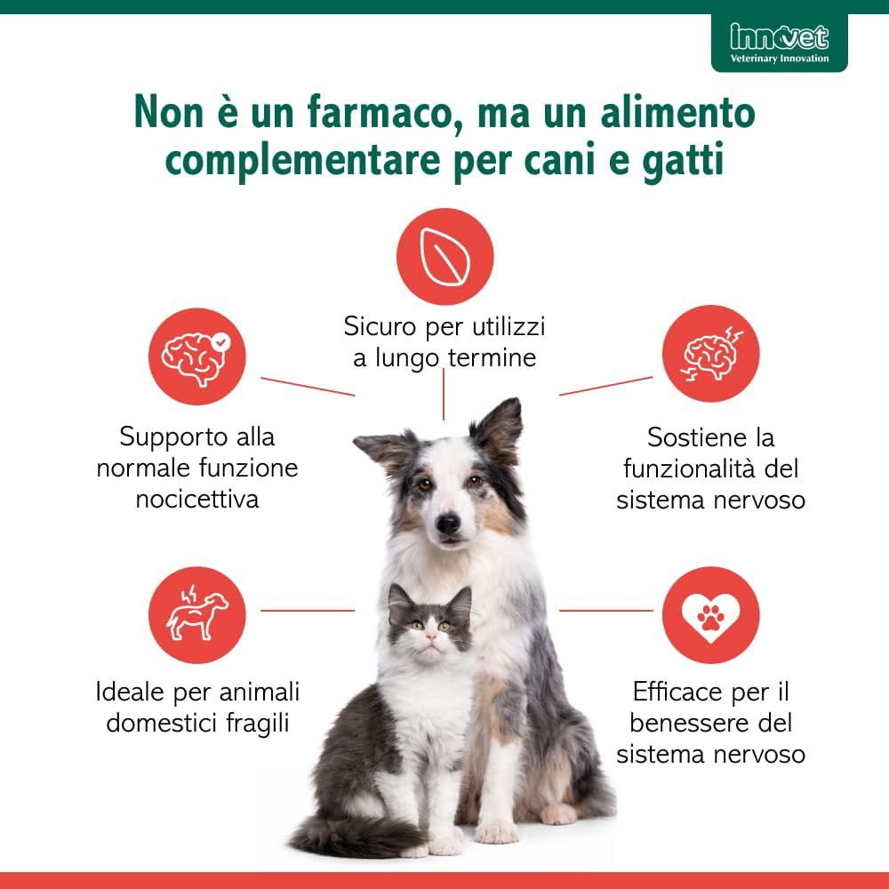 Innovet Alevica 40 Compresse per Cani e Gatti
