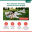 Innovet Alevica 40 Compresse per Cani e Gatti