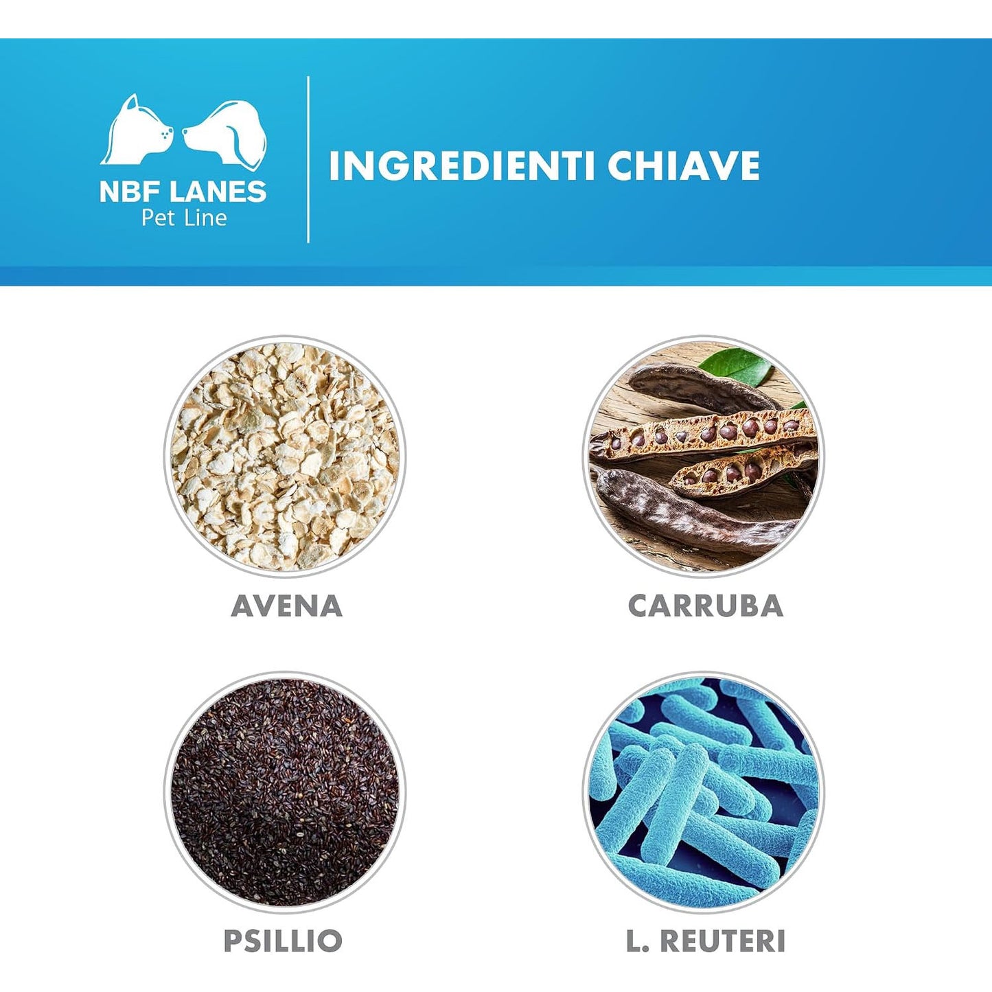 NBF Lanes Reufiber 250 g per Cani e Gatti - Fibre per il Benessere Intestinale