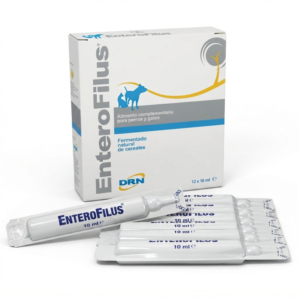 DRN Enterofilus 12 Fiale da 10 ml per Cani e Gatti – Benessere Intestinale