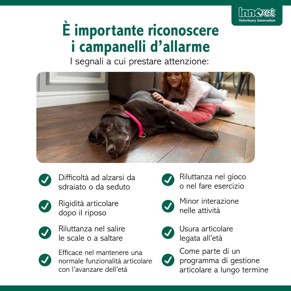 Innovet Condrostress Mobility 60 Soft Chews per Cani - Supporto Articolare