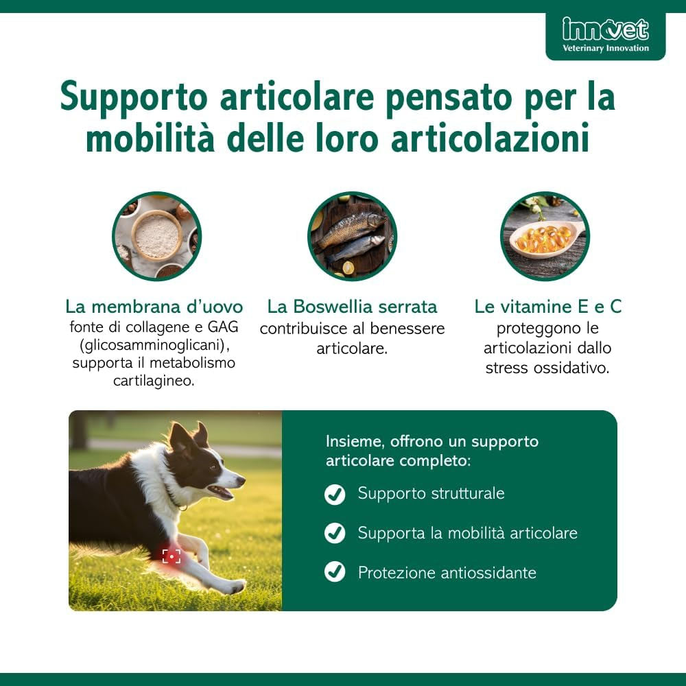 Innovet Condrostress Mobility 60 Soft Chews per Cani - Supporto Articolare