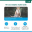 Innovet Restomyl Gel 30 ml per Cani e Gatti - Salute e Igiene della Mucosa Orale