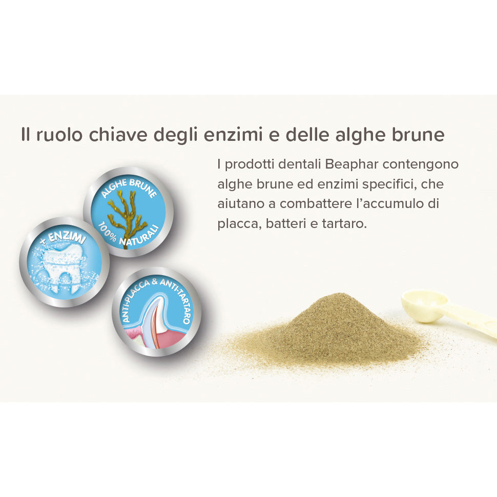 Beaphar Dentifricio Cane 100 g - Igiene Orale Anti-Placca e Anti-Tartaro