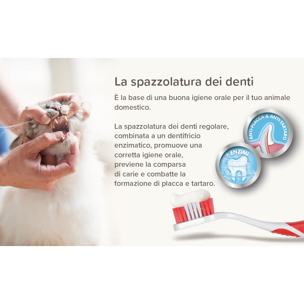 Beaphar Dentifricio Cane 100 g - Igiene Orale Anti-Placca e Anti-Tartaro