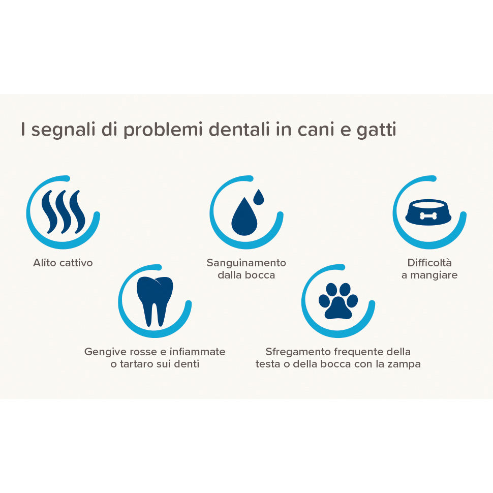 Beaphar Dentifricio Cane 100 g - Igiene Orale Anti-Placca e Anti-Tartaro