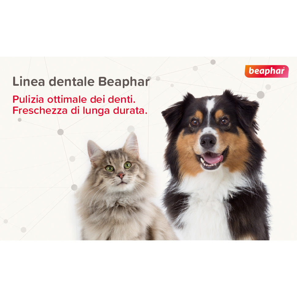 Beaphar Dentifricio Cane 100 g - Igiene Orale Anti-Placca e Anti-Tartaro