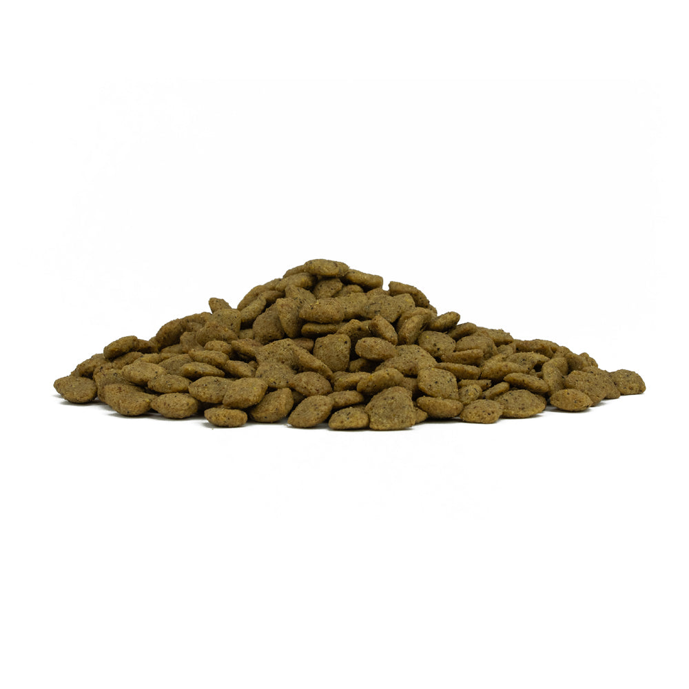 FORZA10 Intestinal Colon Fase 2 Pesce e Riso 14% di fibra alimentare Proteine di pesce idrolizzate Per cani adulti 10 kg