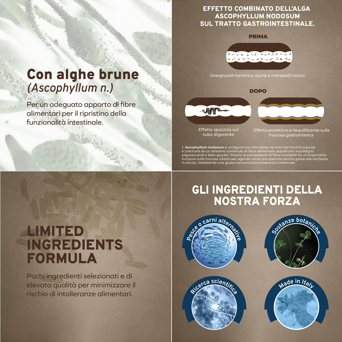 FORZA10 Intestinal Colon Fase 2 Pesce e Riso 14% di fibra alimentare Proteine di pesce idrolizzate Per cani adulti 10 kg