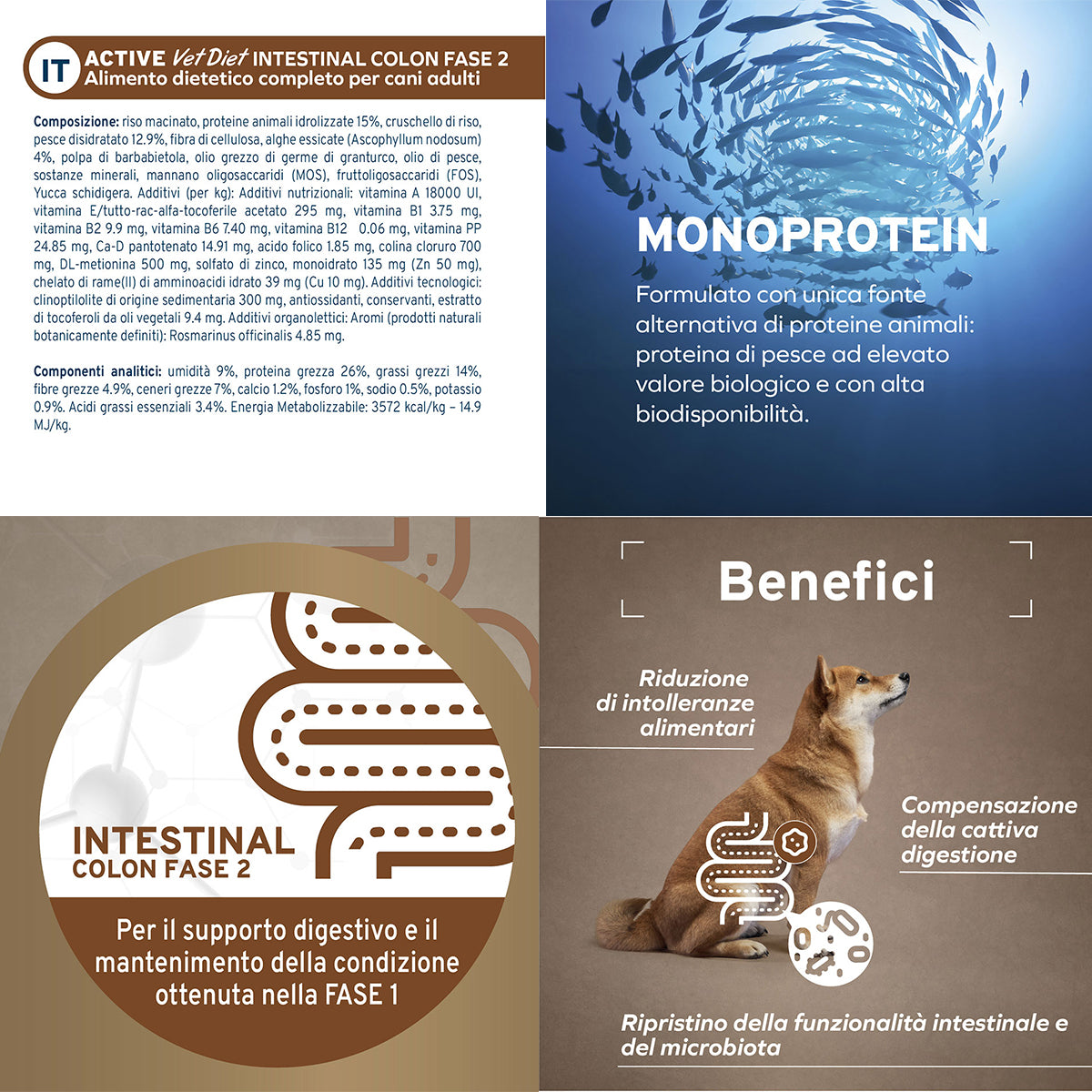 FORZA10 Intestinal Colon Fase 2 Pesce e Riso 14% di fibra alimentare Proteine di pesce idrolizzate Per cani adulti 10 kg