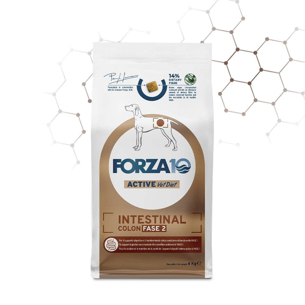 FORZA10 Intestinal Colon Fase 2 Pesce e Riso 14% di fibra alimentare Proteine di pesce idrolizzate Per cani adulti 10 kg