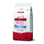 MONGE DRY DOG Mini Adult