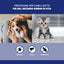 Spray antiparassitario Frontline 100 ml per cani e gatti, flacone con erogatore spray