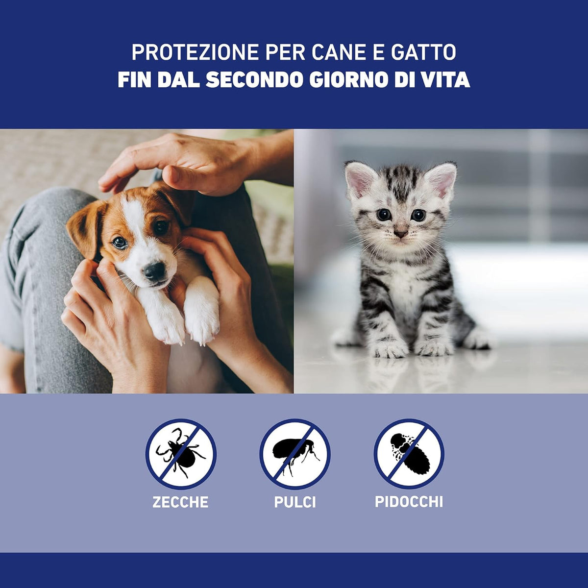 Spray antiparassitario Frontline 100 ml per cani e gatti, flacone con erogatore spray