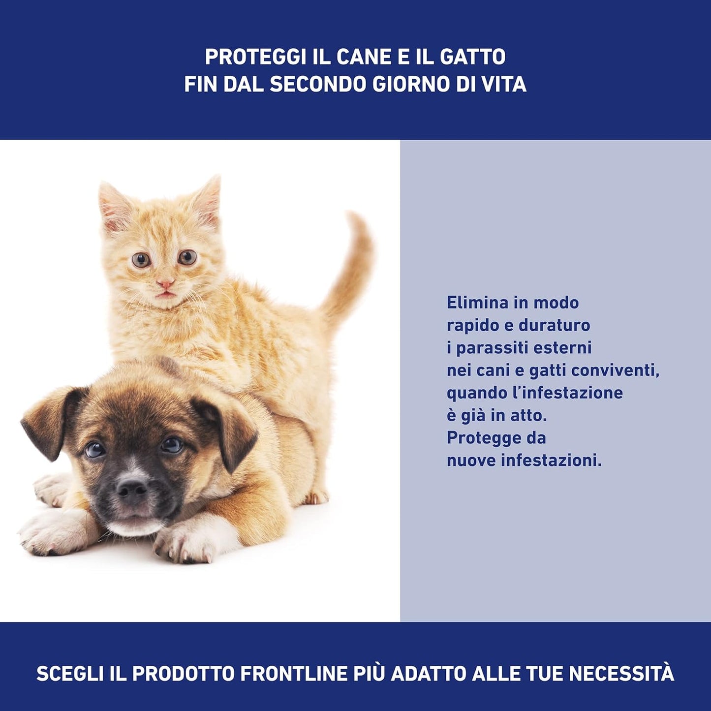 FRONTLINE SPRAY 250 ML