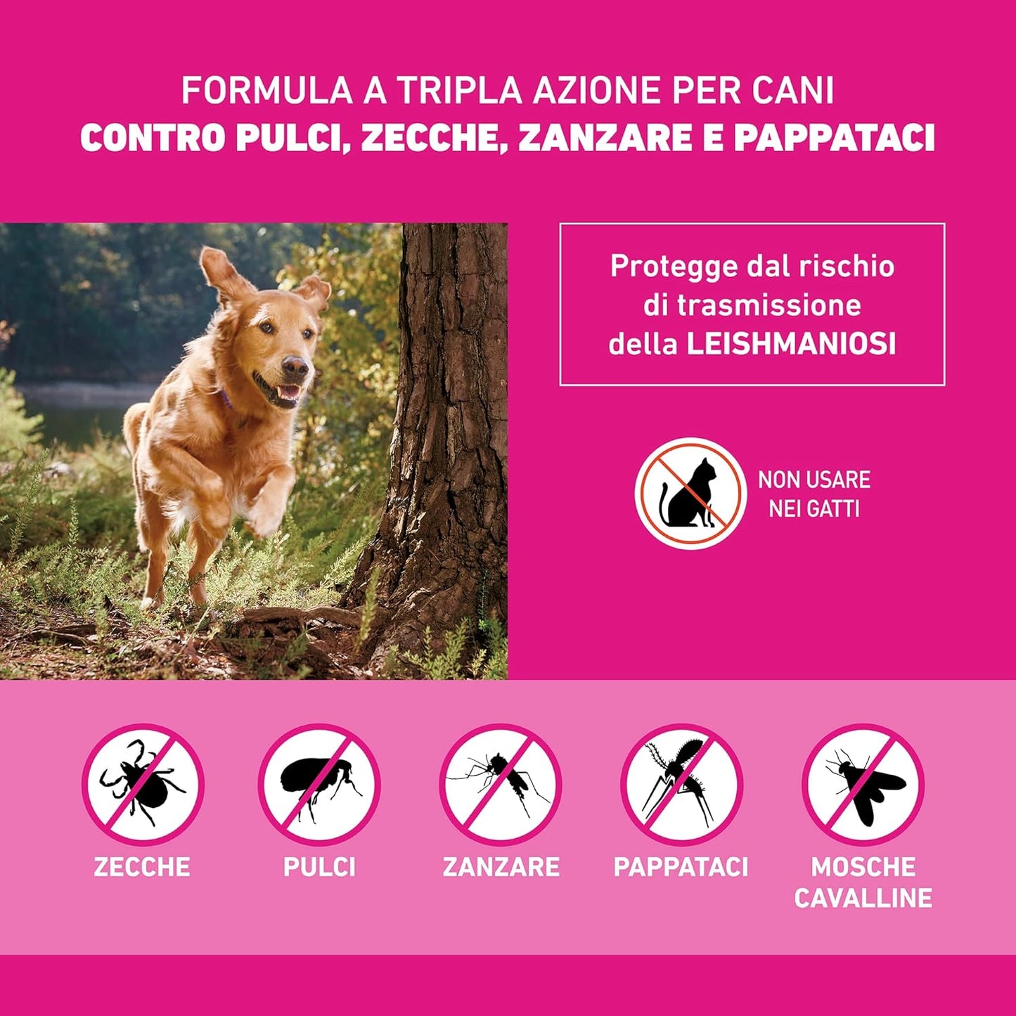 CATISFACTIONS Pollo & Anatra 60 gr