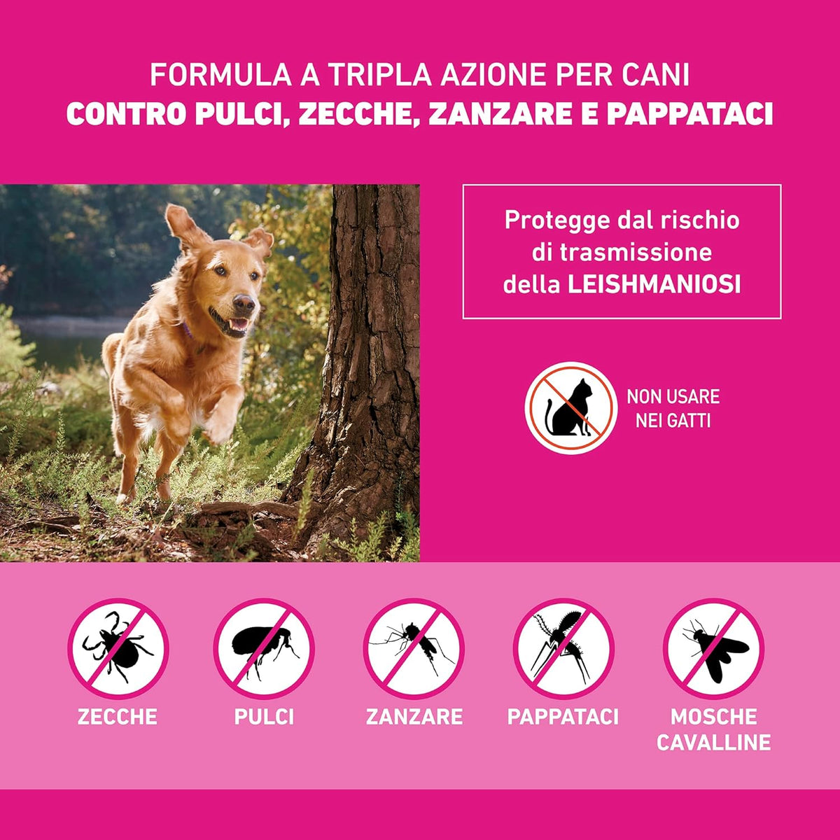Frontline Tri-Act antiparassitario spot-on per cani 20-40 kg, confezione da 6 pipette monodose